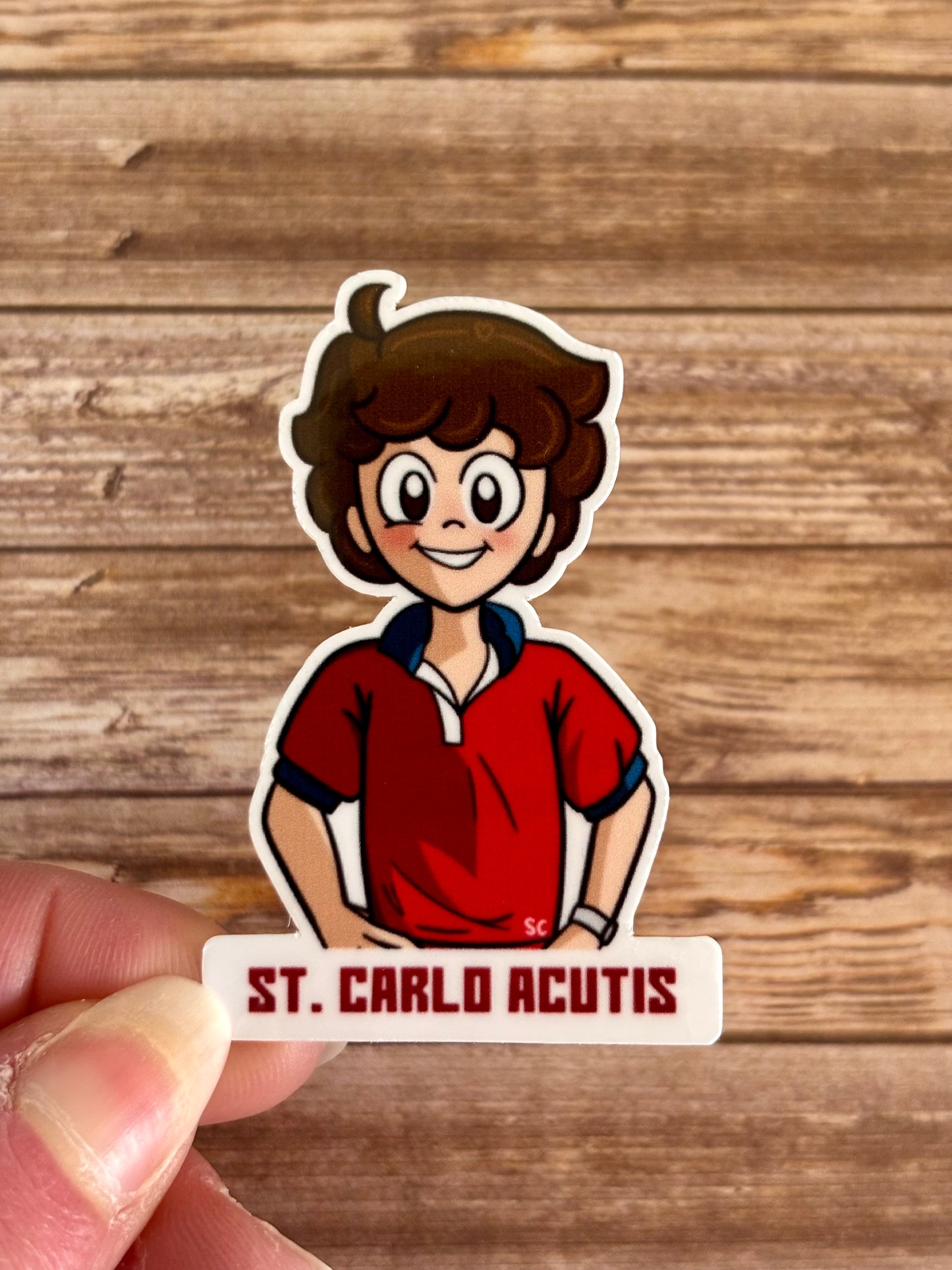 Carlo Acutis Bundle